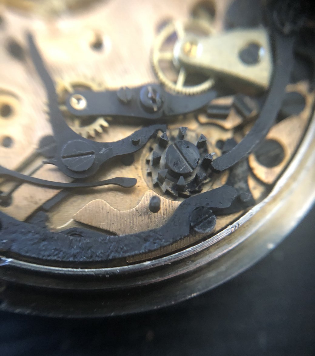 D383573F-8451-4C4A-B777-7673F0EC0A0C.jpeg