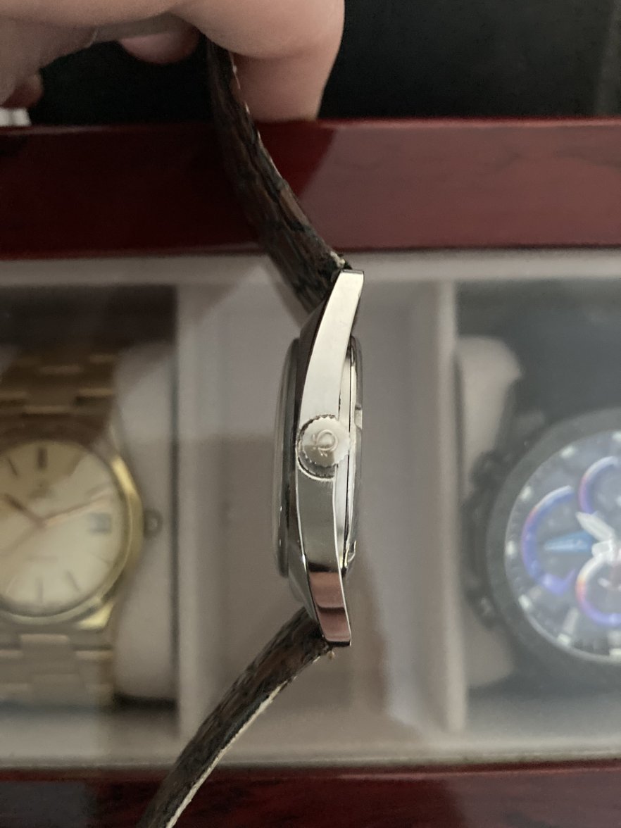 725D4F2A-5484-4D49-82F4-08E2693B80DA.jpeg 725D4F2A-5484-4D49-82F4-08E2693B80DA.jpeg