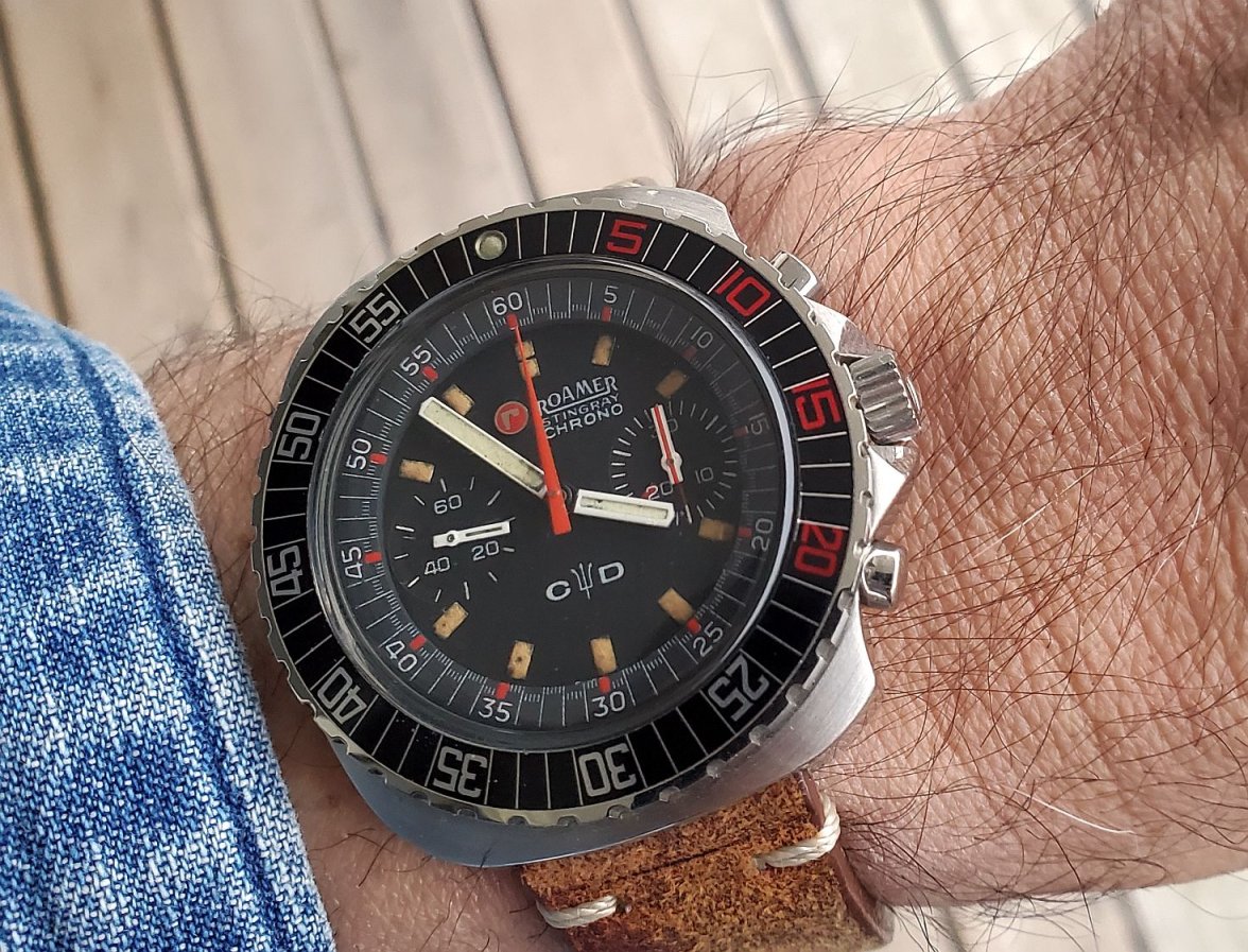 Roamer ws 1 20230113_155609.jpg