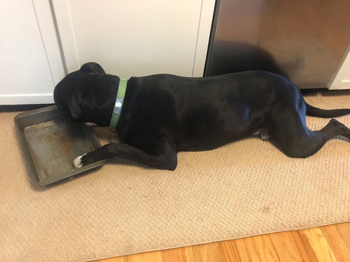 105AF42A-4420-427E-88B3-0EB22C797921.jpeg 105AF42A-4420-427E-88B3-0EB22C797921.jpeg