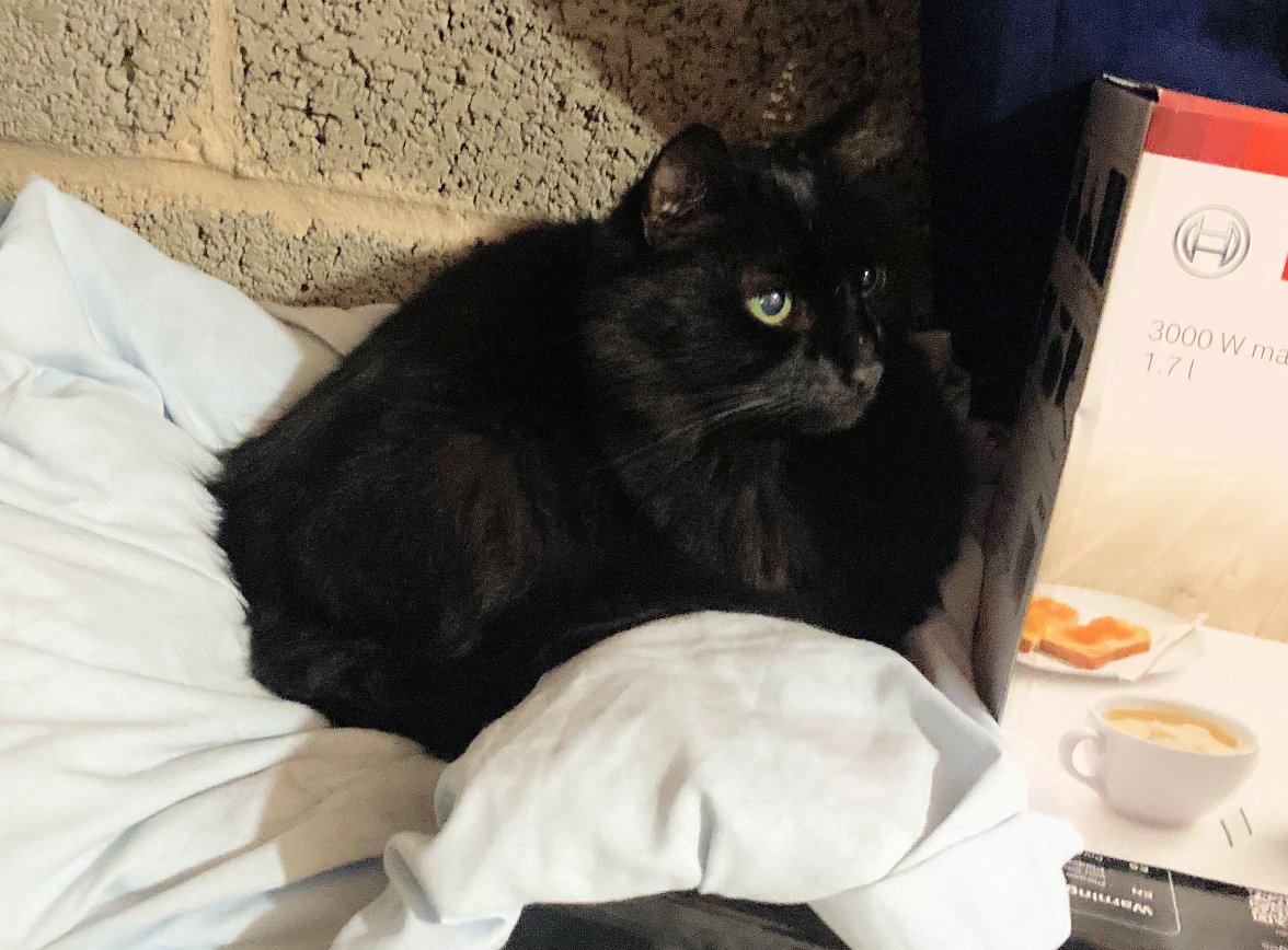 Old boy Garrage .jpg