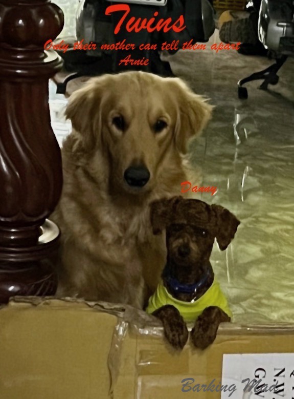 1672967160363 (1).jpeg 1672967160363 (1).jpeg