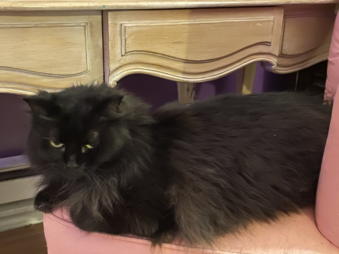 2066FF3B-D7B4-42B9-9619-36836C2C3334.jpeg 2066FF3B-D7B4-42B9-9619-36836C2C3334.jpeg