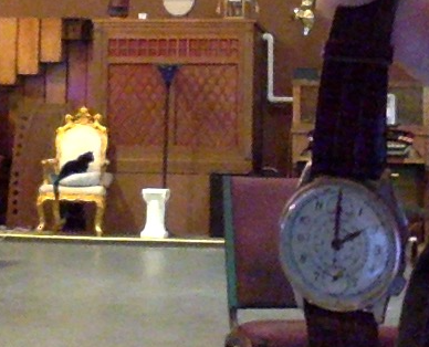 midnight and watch.png