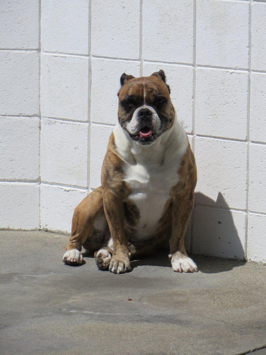 IMG_1049.JPG IMG_1049.JPG