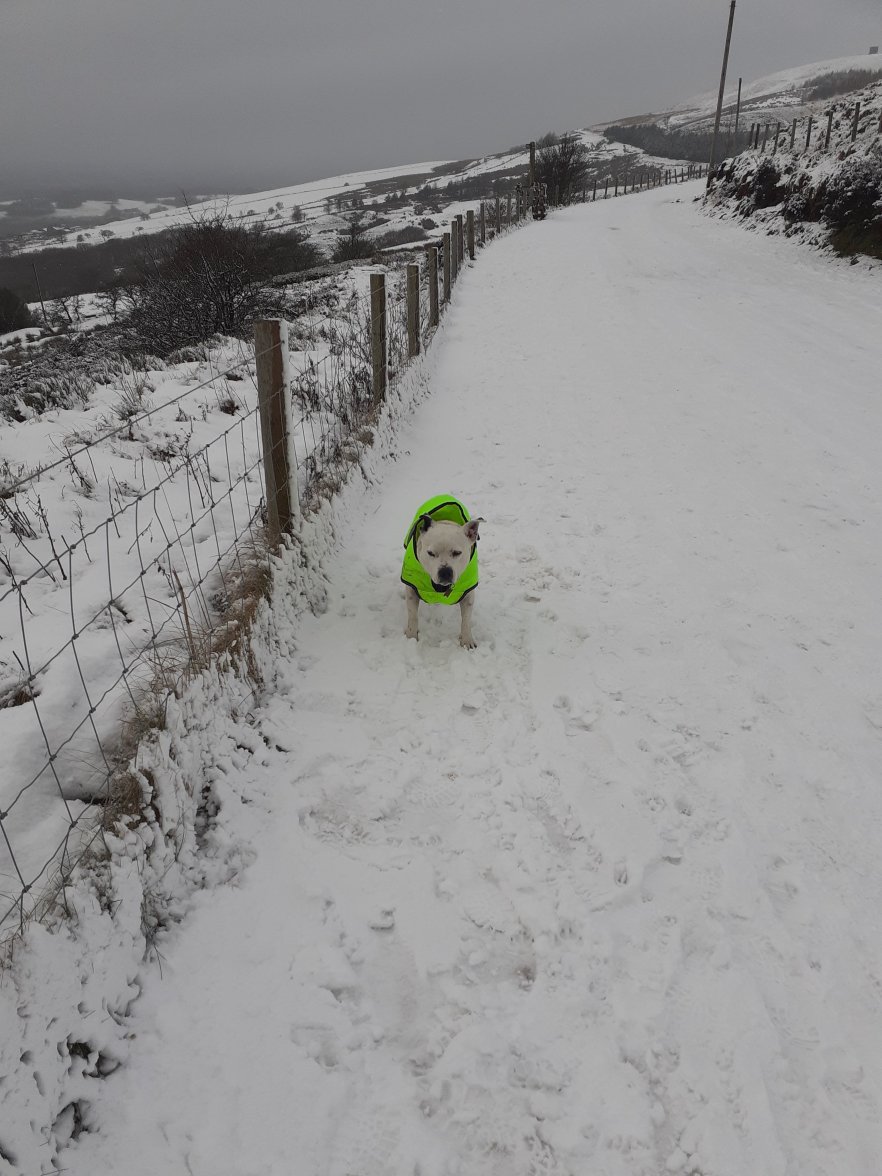 20210108_133208.jpg 20210108_133208.jpg