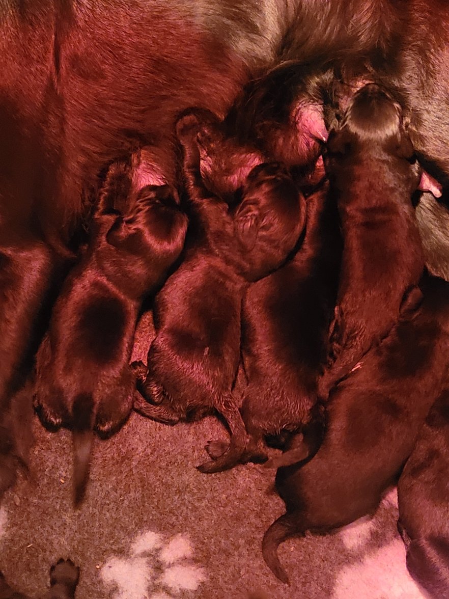 20230112_174113.jpg 20230112_174113.jpg