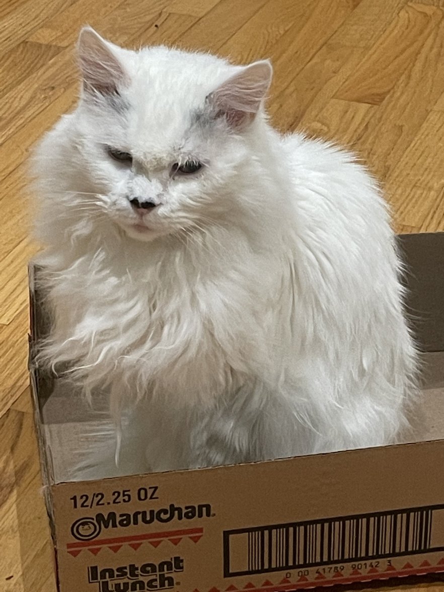 25A2BD59-31B0-4E60-B242-511927329FAB.jpeg 25A2BD59-31B0-4E60-B242-511927329FAB.jpeg