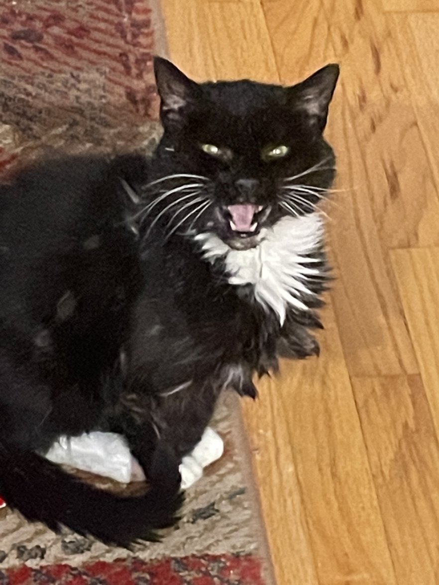 8EFD0B41-8F74-4665-9EFC-30CB3EEE1E60.jpeg 8EFD0B41-8F74-4665-9EFC-30CB3EEE1E60.jpeg