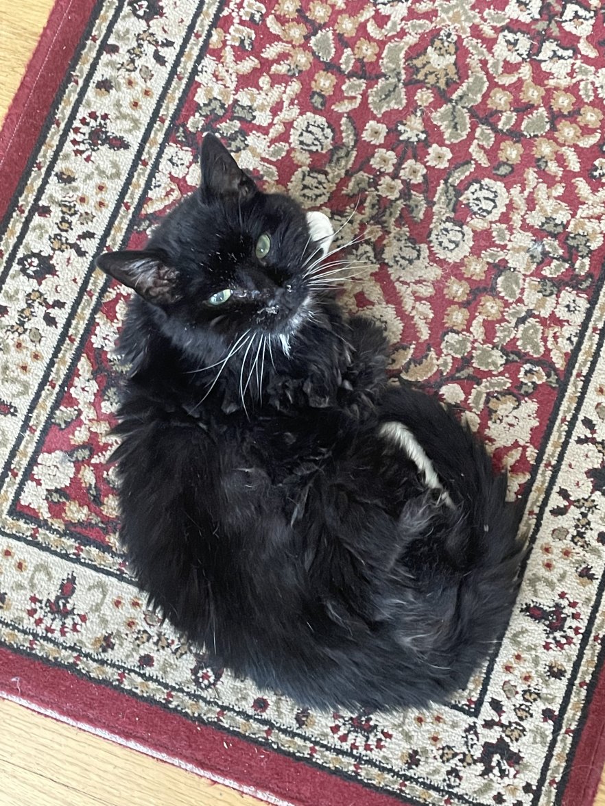 E53AAF34-3089-49A8-9E8D-4D1F59C3D9D7.jpeg E53AAF34-3089-49A8-9E8D-4D1F59C3D9D7.jpeg