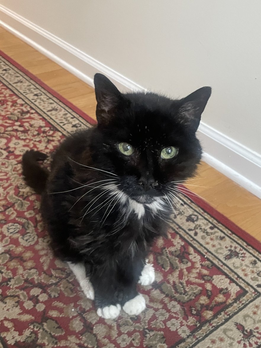 7008A11E-44CE-4B21-A3E9-E0855F6B06D9.jpeg 7008A11E-44CE-4B21-A3E9-E0855F6B06D9.jpeg