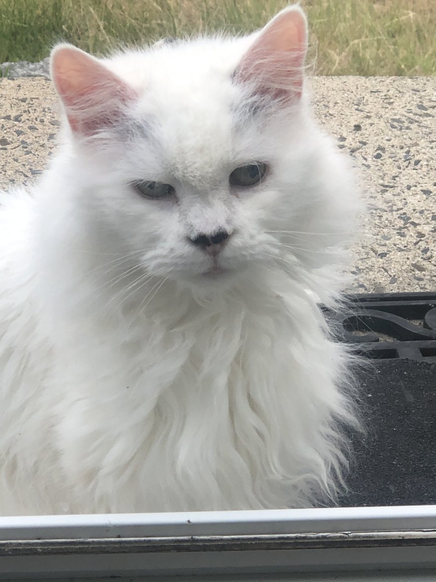 65409C54-EB8E-4E1C-821B-835ACCD6E826.jpeg 65409C54-EB8E-4E1C-821B-835ACCD6E826.jpeg