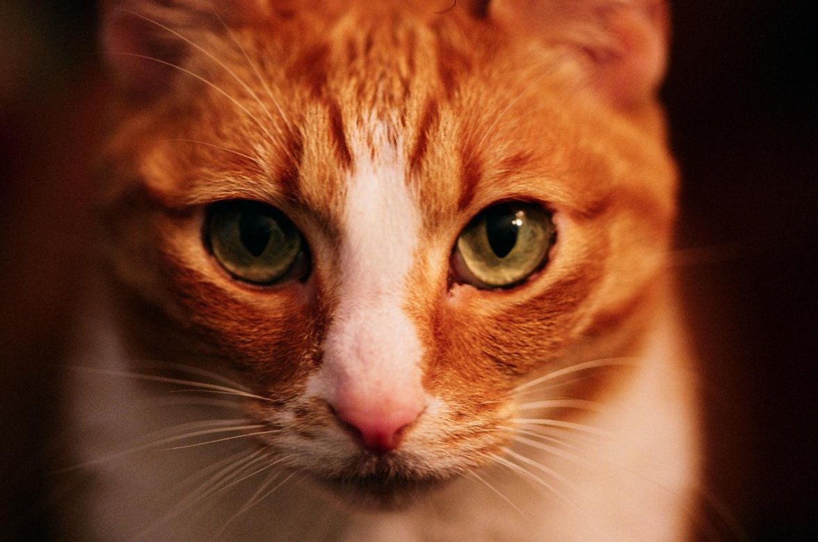 E0CC89F3-8868-40E9-8B7E-8337BAE9F9B3.jpeg E0CC89F3-8868-40E9-8B7E-8337BAE9F9B3.jpeg