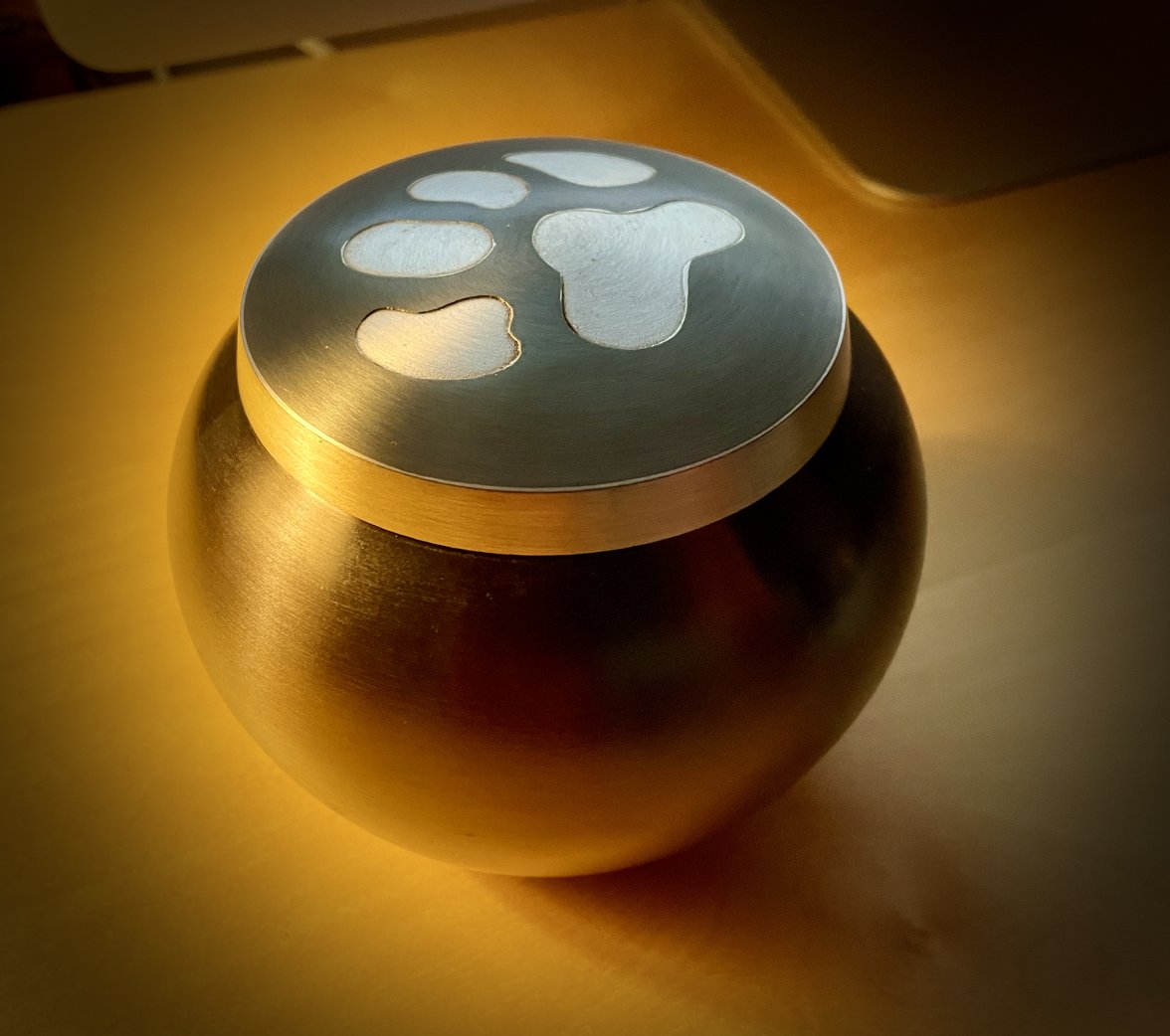 IMG_8926.jpeg IMG_8926.jpeg