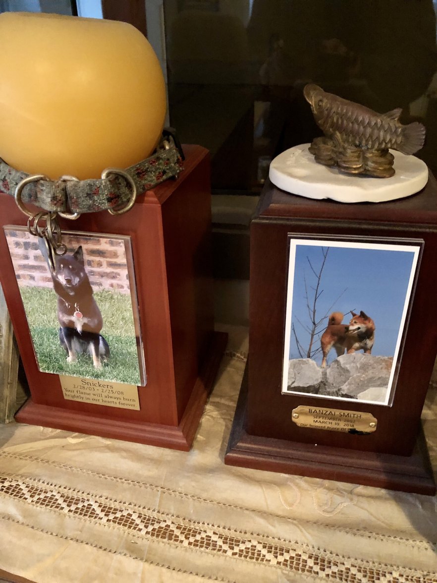 31FA359B-FE6B-4D7F-A77A-CE03FD3172AB.jpeg 31FA359B-FE6B-4D7F-A77A-CE03FD3172AB.jpeg