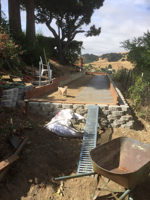 MeepoBocce.jpg MeepoBocce.jpg