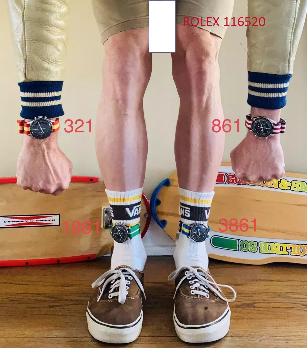 world model  1 club of rome 1972 n.jpg