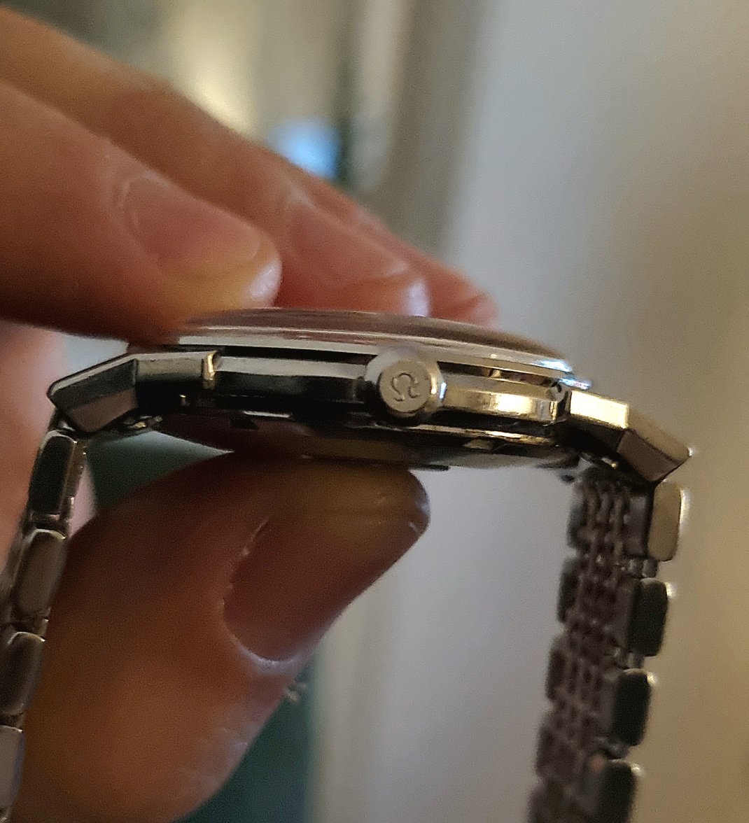 1000006309.jpg 1000006309.jpg