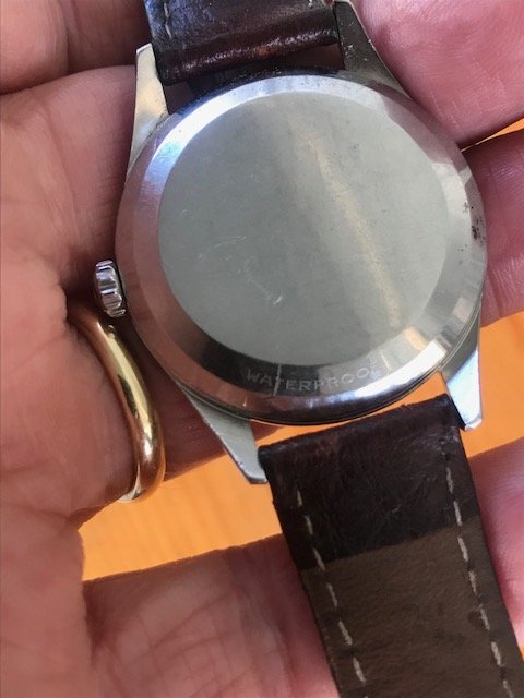 IMG_7426.jpg IMG_7426.jpg