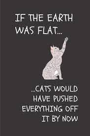 cat.jpg cat.jpg