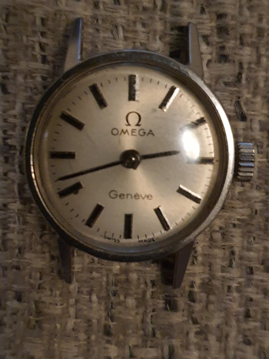 20230129_180244.jpg