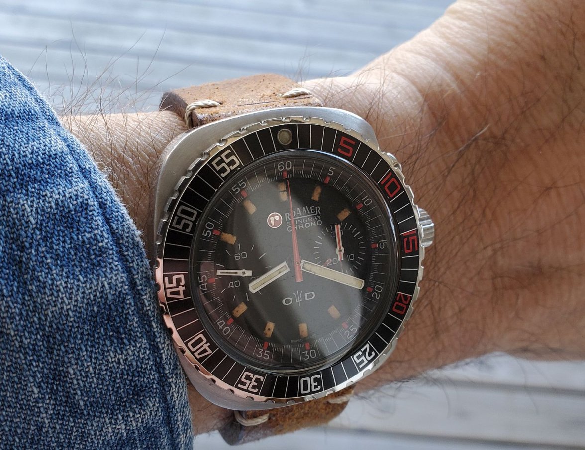 Roamer ws 2 20230212_081948.jpg