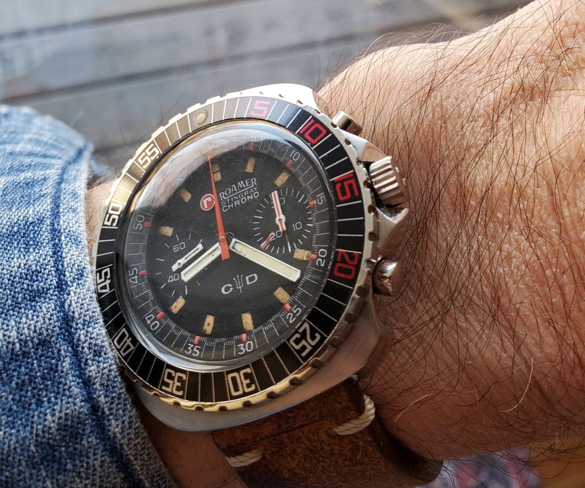 Roamer ws 3 20230212_082213.jpg