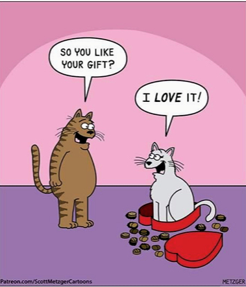 cat V day.jpg