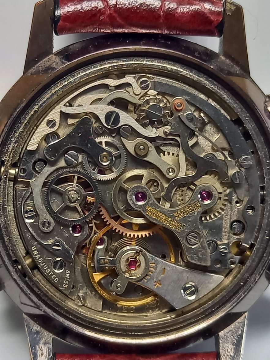 IMG-20230214-WA0005.jpg IMG-20230214-WA0005.jpg