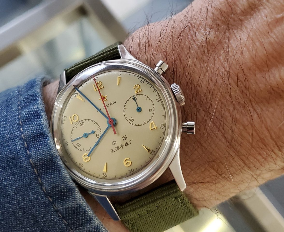 Seagull ws 1 20230223_075546.jpg