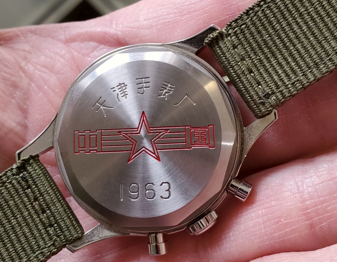 Seagull ws 2 back 20230223_124718.jpg