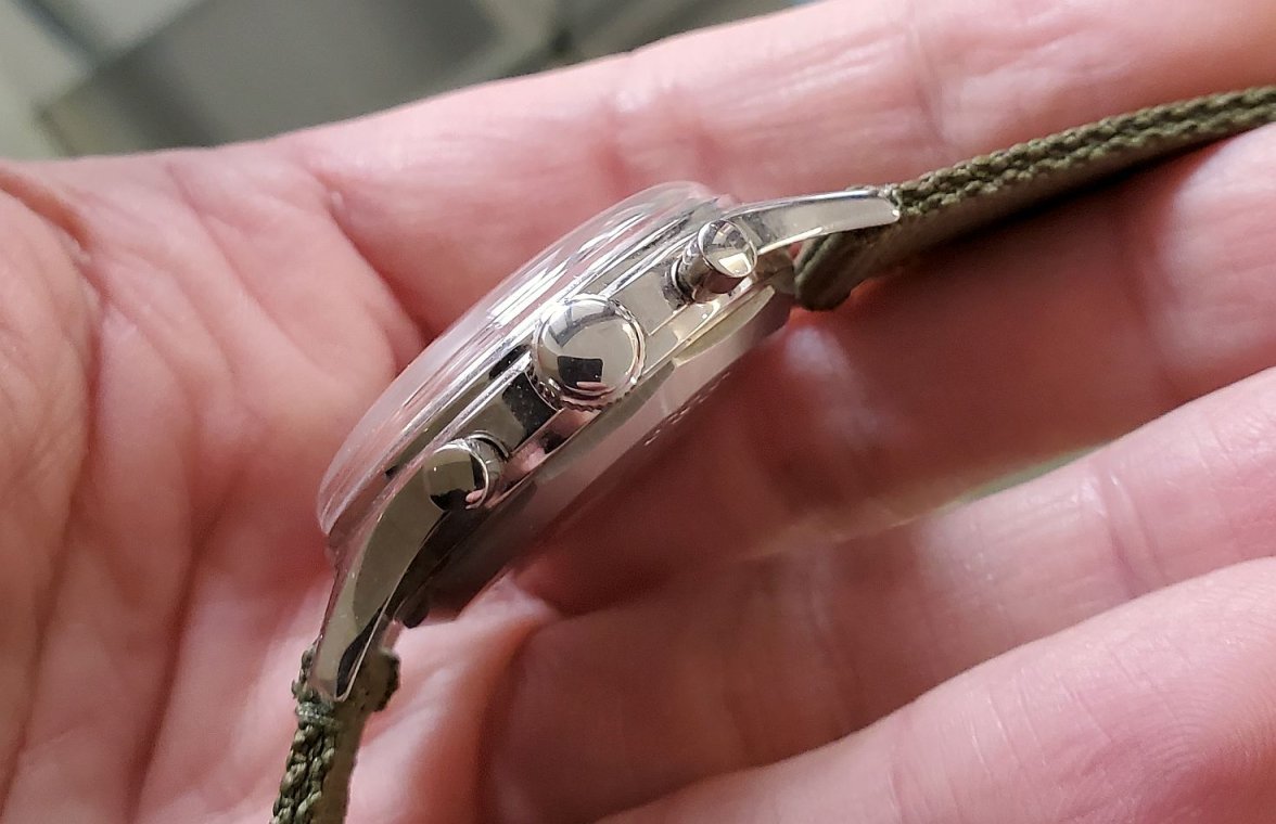 Seagull ws 3 side20230223_130356.jpg