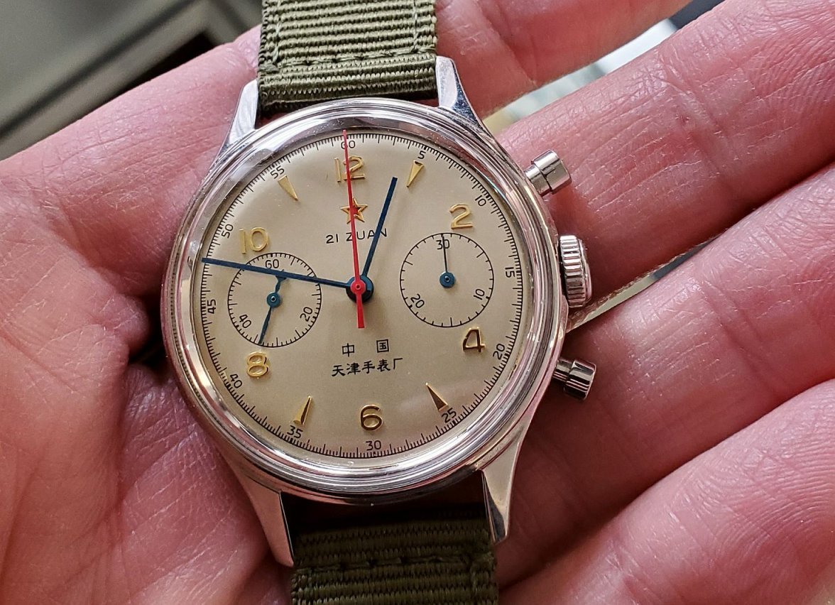 Seagull ws 4 20230223_124730.jpg