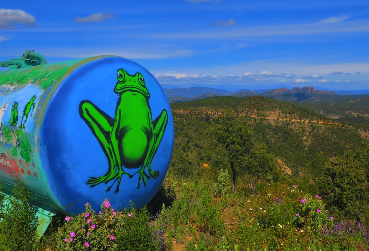 IMG_0432 Tank bm.JPG