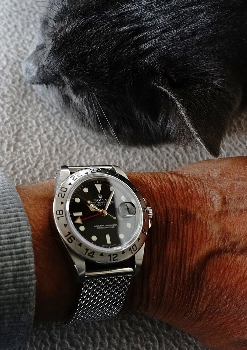 DSC09804a tenpastten m.JPG