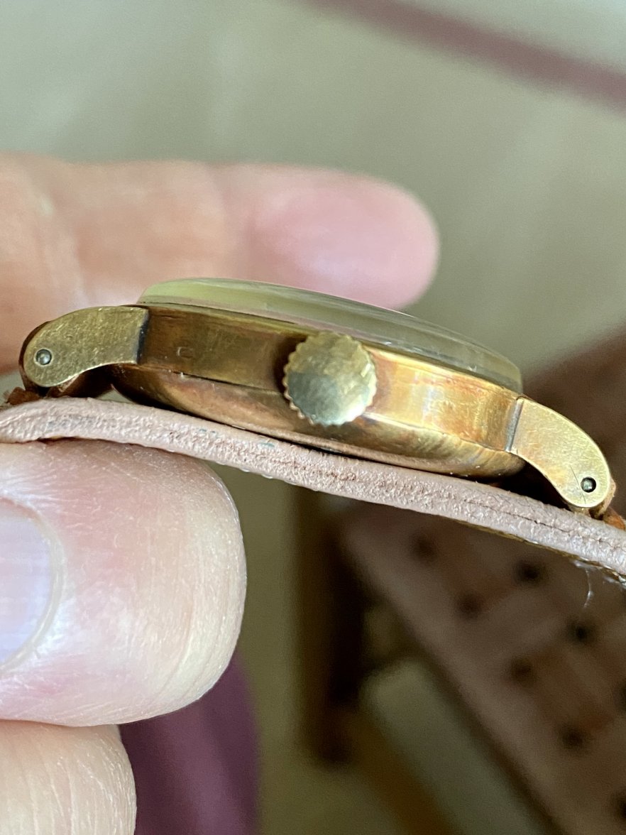 D4A8ED67-3481-4C1B-B45C-819818B2FF22.jpeg D4A8ED67-3481-4C1B-B45C-819818B2FF22.jpeg