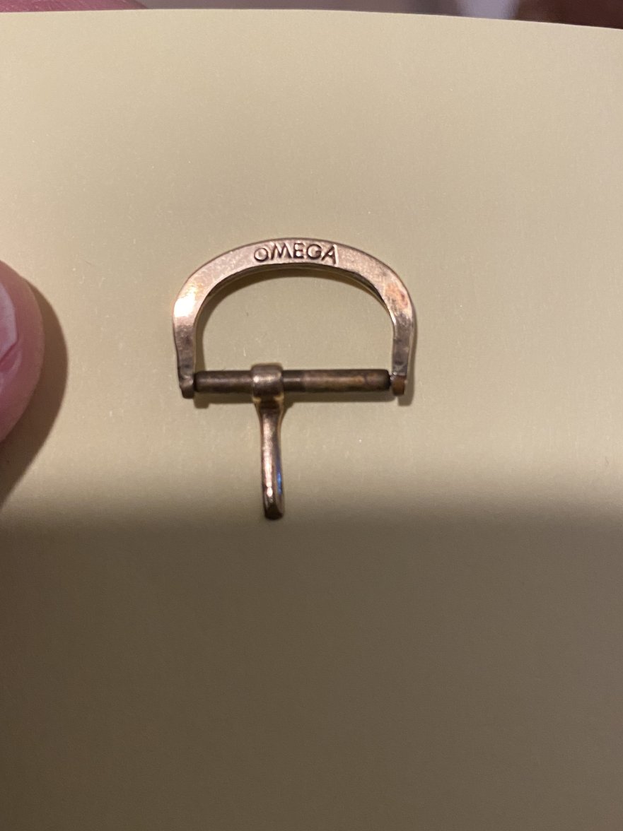 86069974-F6E1-4D38-BAFB-43D6C796BB24.jpeg 86069974-F6E1-4D38-BAFB-43D6C796BB24.jpeg