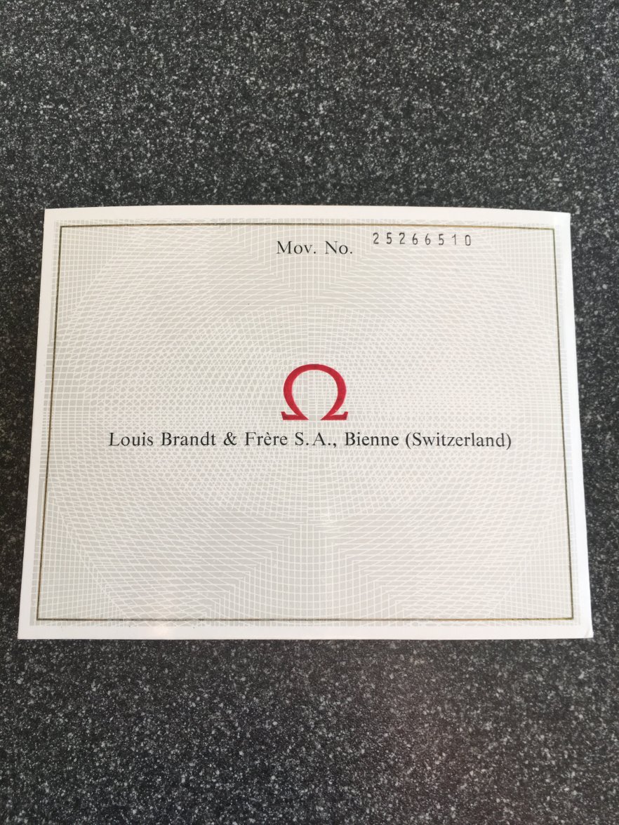 IMG_8980.JPG IMG_8980.JPG