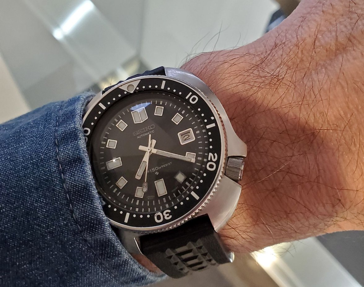 Willard ws 1 20230302_072132.jpg