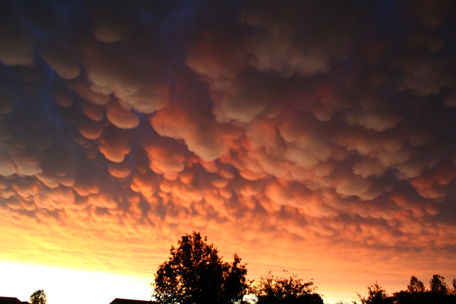 Canon EOS Rebel T6 5184x3456_028694.jpg