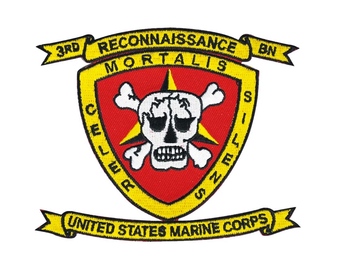 X-33 3rd Reconnaissance Bn_Seal Color Stiched.jpg