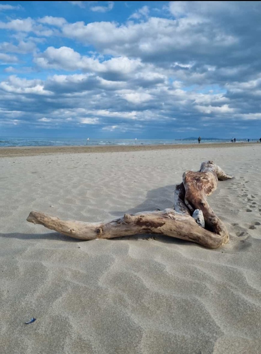 2023_08_03 Rimini (5).jpg