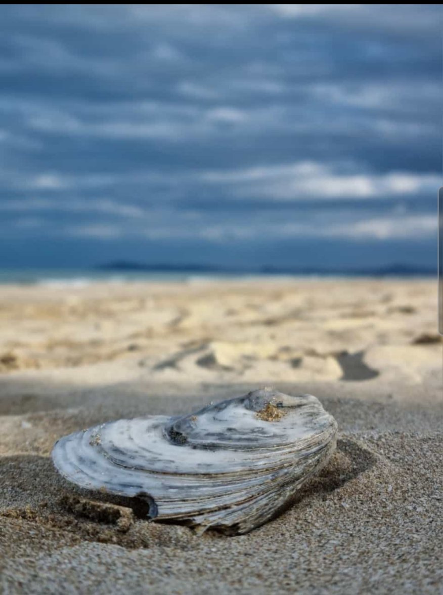 2023_08_03 Rimini (8).jpg