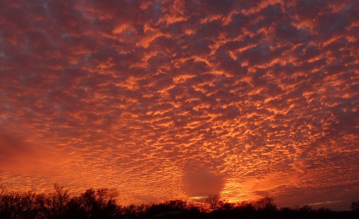 OLYMPUS IMAGING CORP. TG-3 3200x1800_009707.jpg