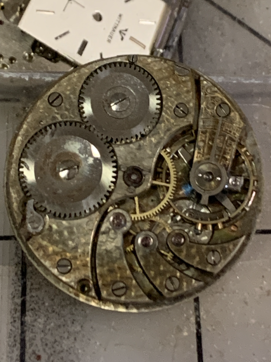 IMG_3930.png IMG_3930.png