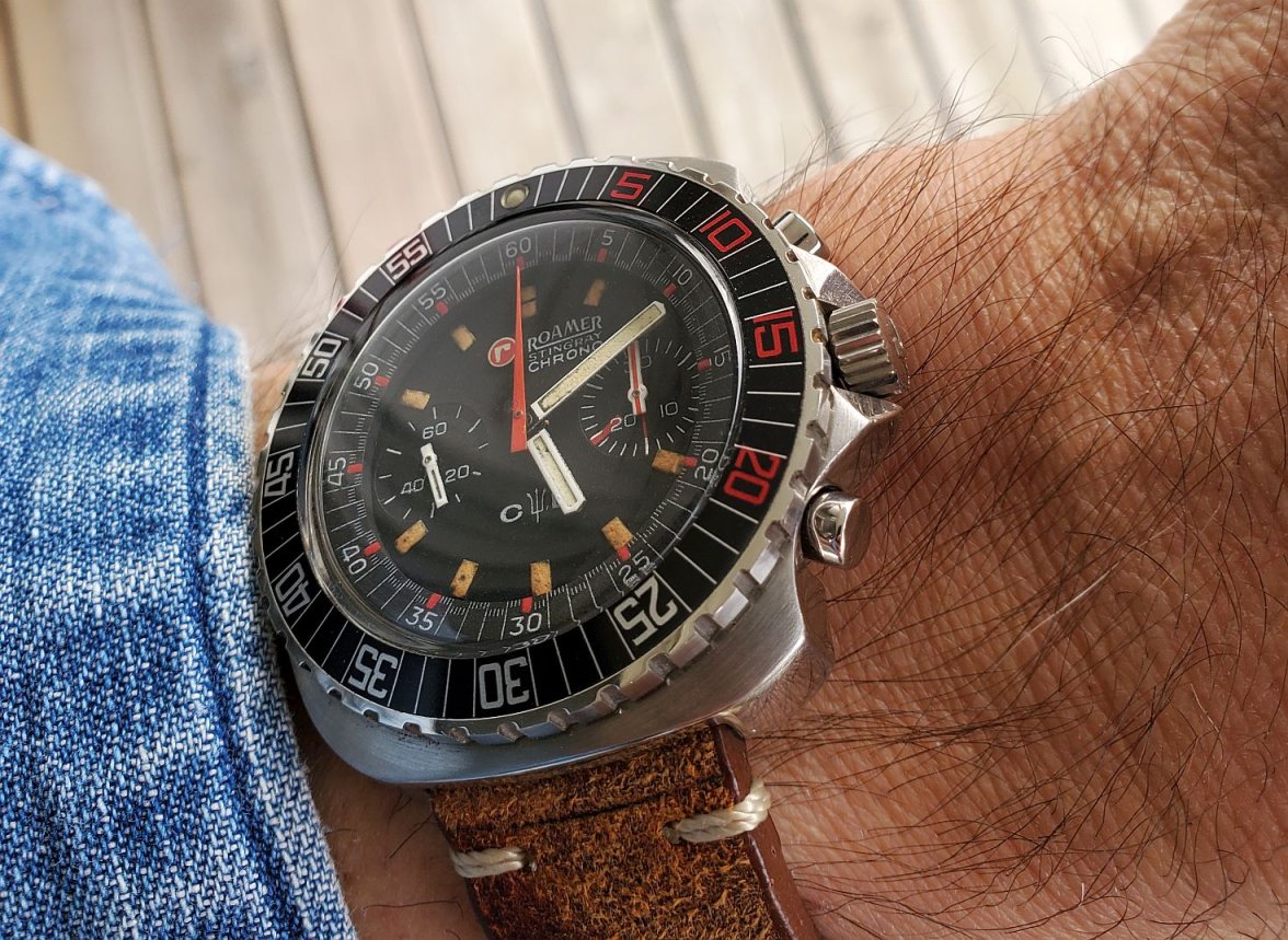 Roamer ws 1b 20230315_171024.jpg