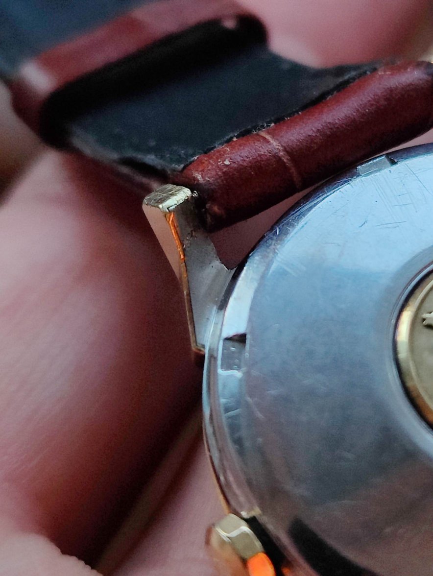 336665857_921435399009406_231185103484543755_n.jpg 336665857_921435399009406_231185103484543755_n.jpg