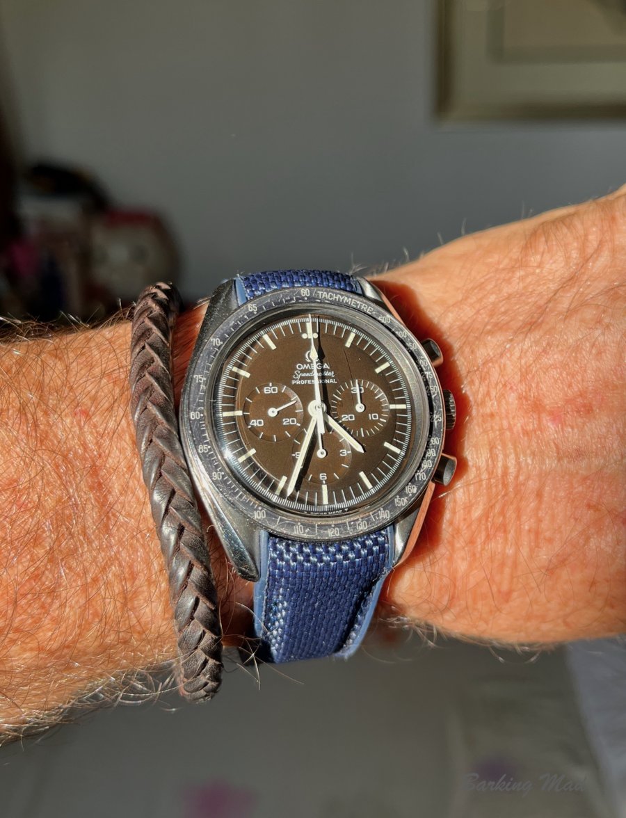 IMG_2958.jpeg IMG_2958.jpeg