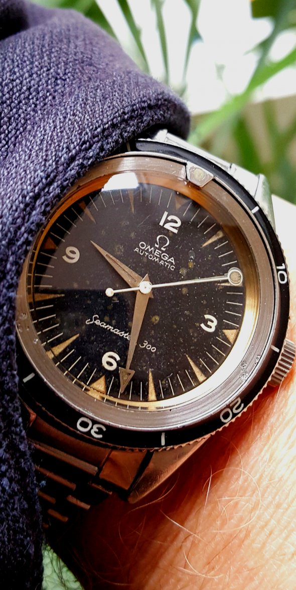 2015-09-22 16.42.25.jpg