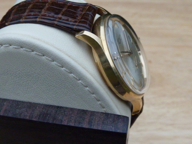 P1020558.jpg P1020558.jpg